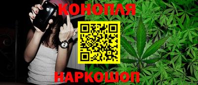 гашик Кулебаки