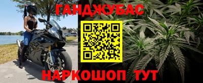 гашик Кулебаки