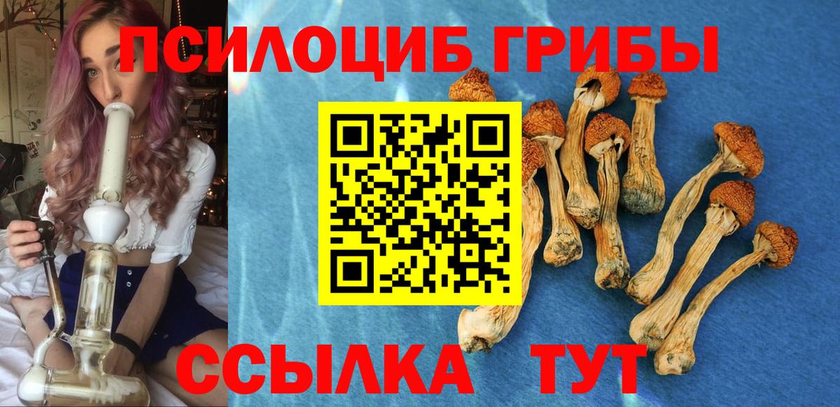 Псилоцибиновые грибы Cubensis  Вход с VPN  Ангарск 