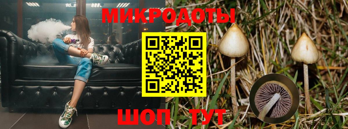 Псилоцибиновые грибы Magic Shrooms Ангарск